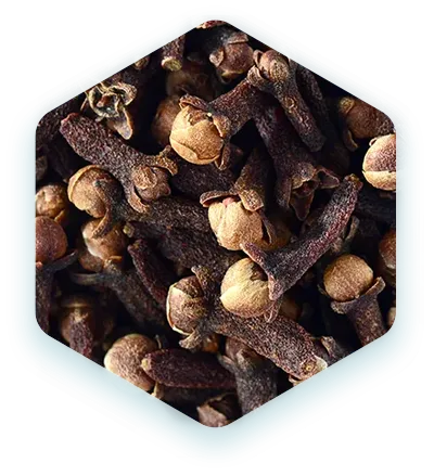 ЭФИРНОЕ МАСЛО ГВОЗДИКИ