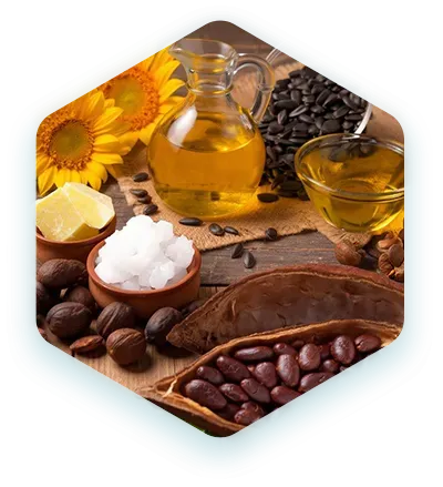 МАСЛО ШИ / КАКАО / ПОДСОЛНЕЧНИКА